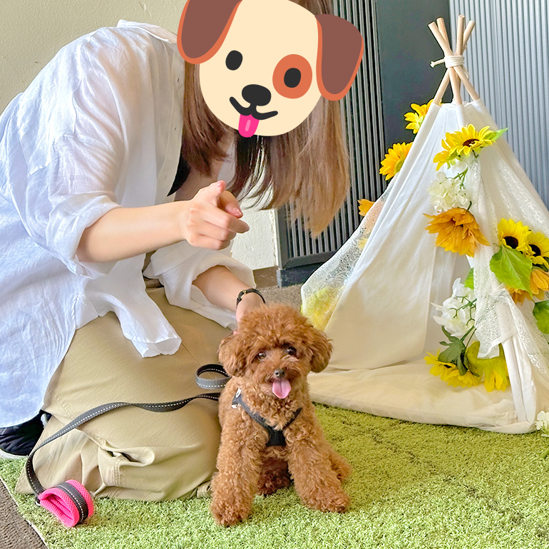 愛犬リリィと藤田真衣