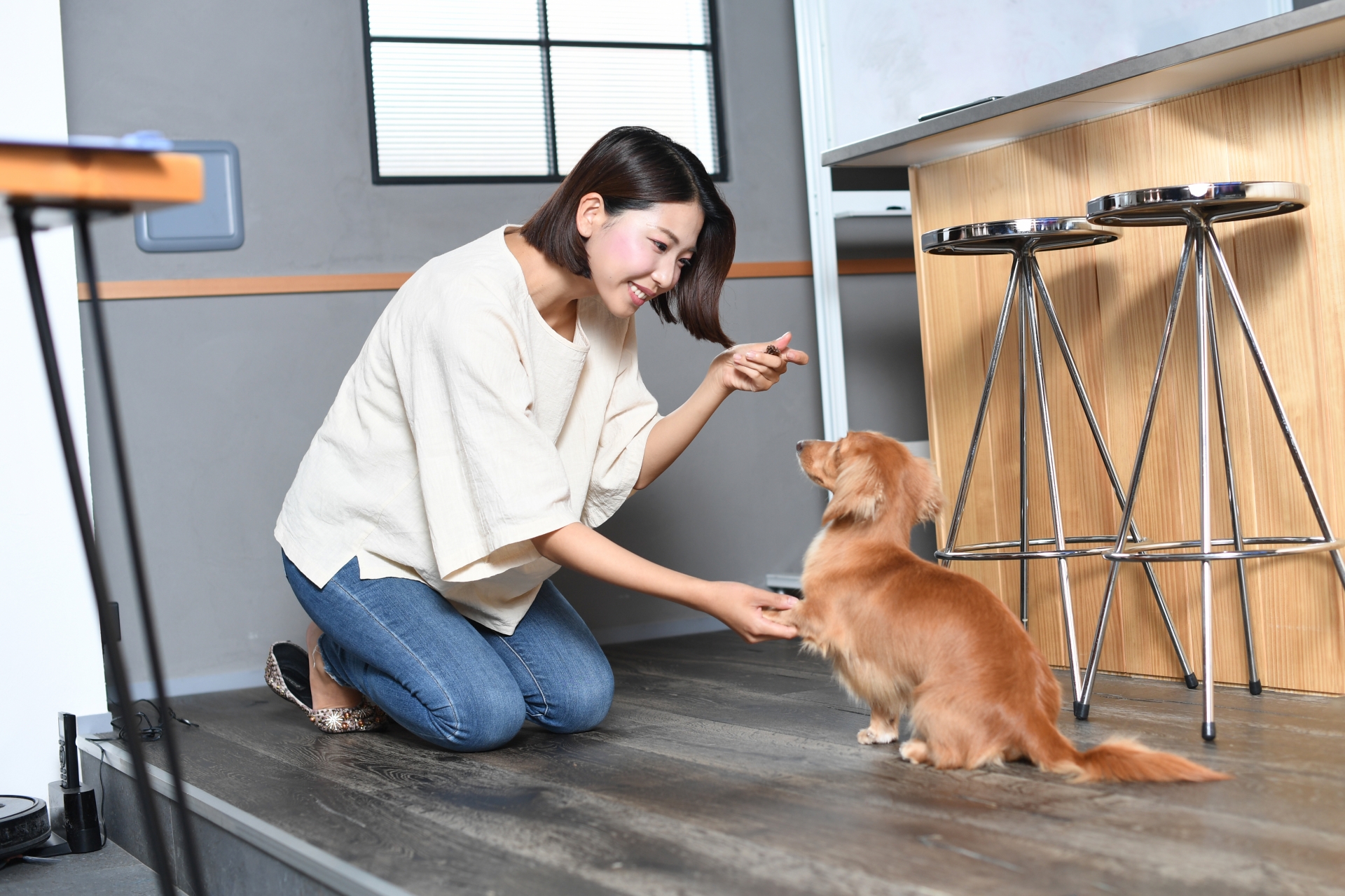 Woman kneeling on a dark floor, offering a treat to a small brown dog in a modern kitchen area with wooden counter and metal stools nearby.