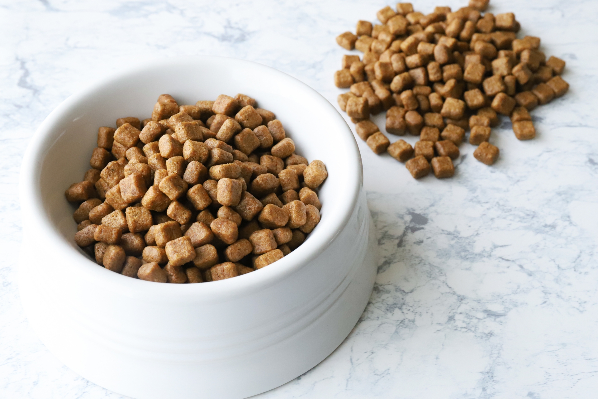 White bowl filled with brown cubed dry dog kibble on a light marble surface, with loose pieces nearby.