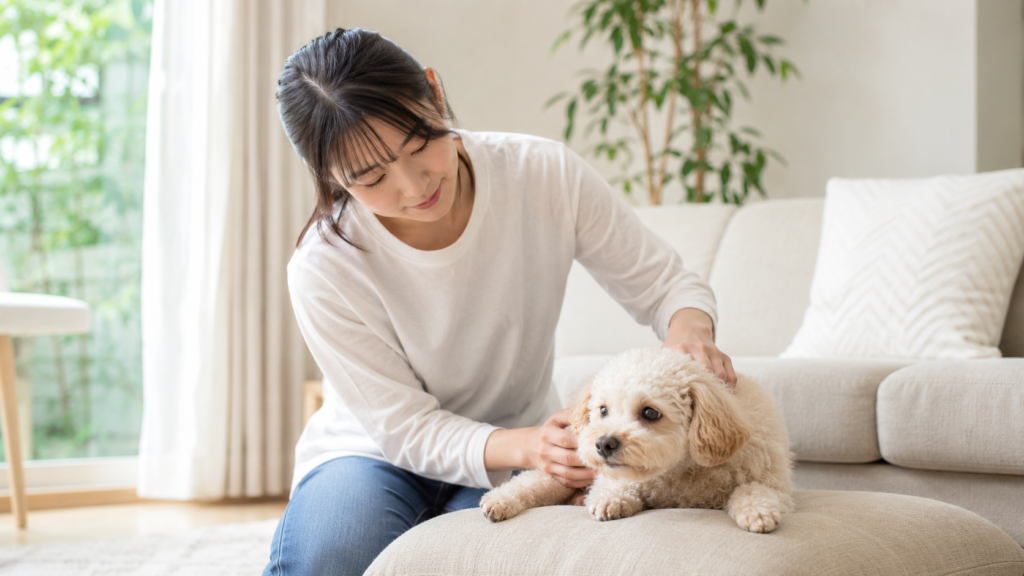 リビングで愛犬の体を優しく触って健康チェックする飼い主