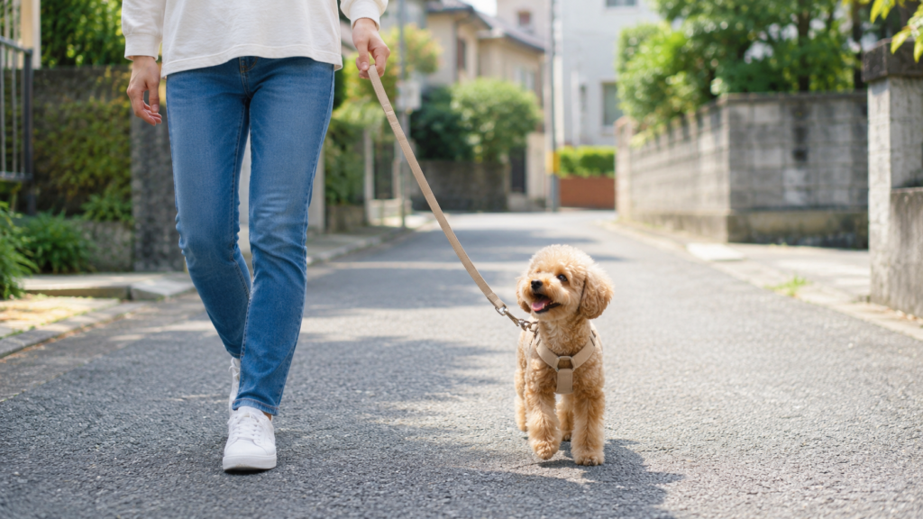 リードで散歩する犬