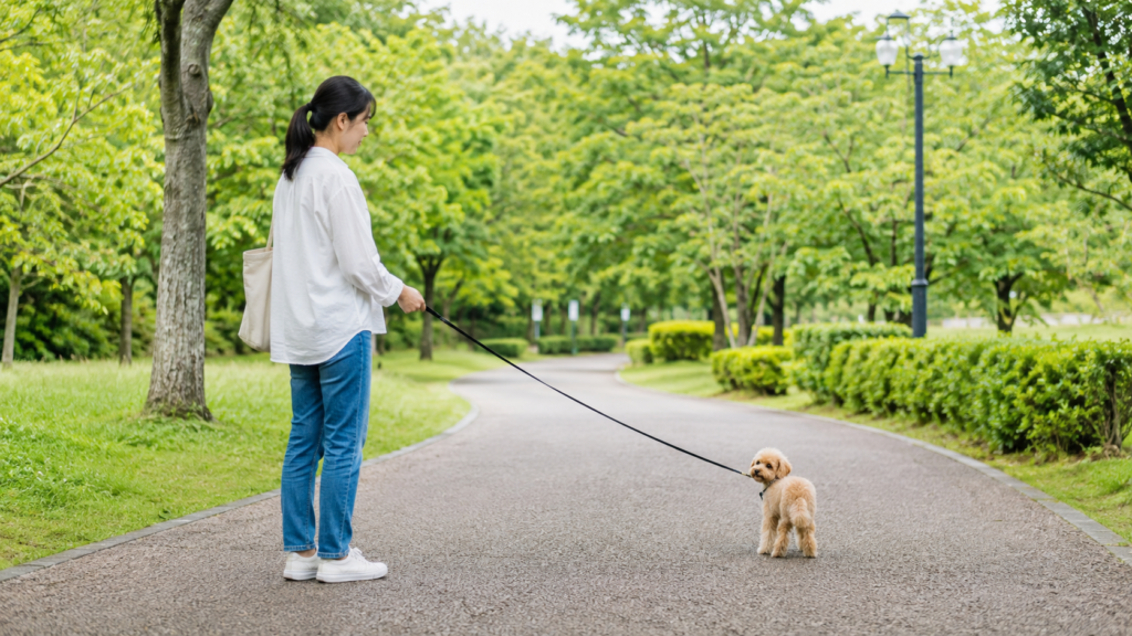立ち止まって犬を待つトレーニング
